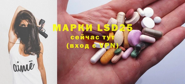ешки Алзамай