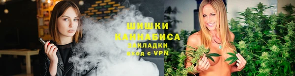 амф Ельня