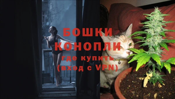 ешки Алзамай